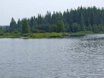 Фото номера Дом для отпуска Дома для отпуска Holiday Home Metsämaja г. Nissi 14
